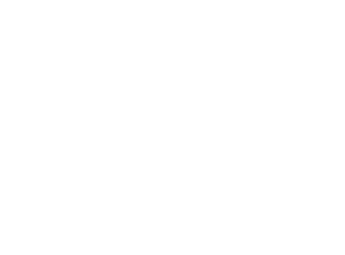 nfc-budgeting-graph