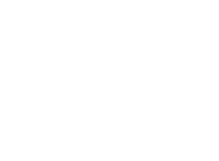 nfc-mybudget-pig